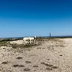 Familienhaus An Der Nordsee - Sauna - Kamin - Suedterrasse Direkt Ueber Dem Wasser Daire Schillig
