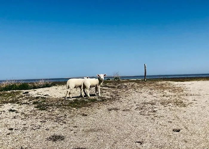 Familienhaus An Der Nordsee - Sauna - Kamin - Suedterrasse Direkt Ueber Dem Wasser Appartamento Schillig